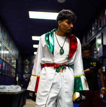 stm-gallery-2- Boxer posing for camera